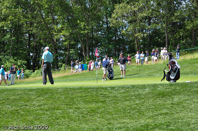 12 green